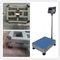 SKC(Model A) 0.1t 300x300mm Mild Steel Industry Weight platform Scale 100kg Electronic Weighing Machine